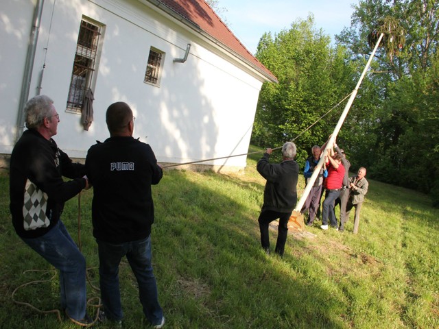 Fotogaléria STAVANIE MÁJA - Malé Dvorany a Bojná 2014 (18) STAVANIE MÁJA - Malé Dvorany a Bojná 2014